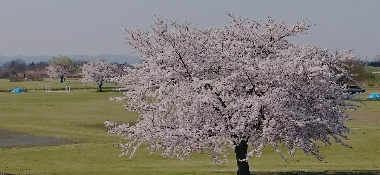 メインビジュアル05