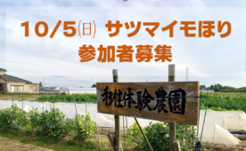 サツマイモほり参加しませんか?